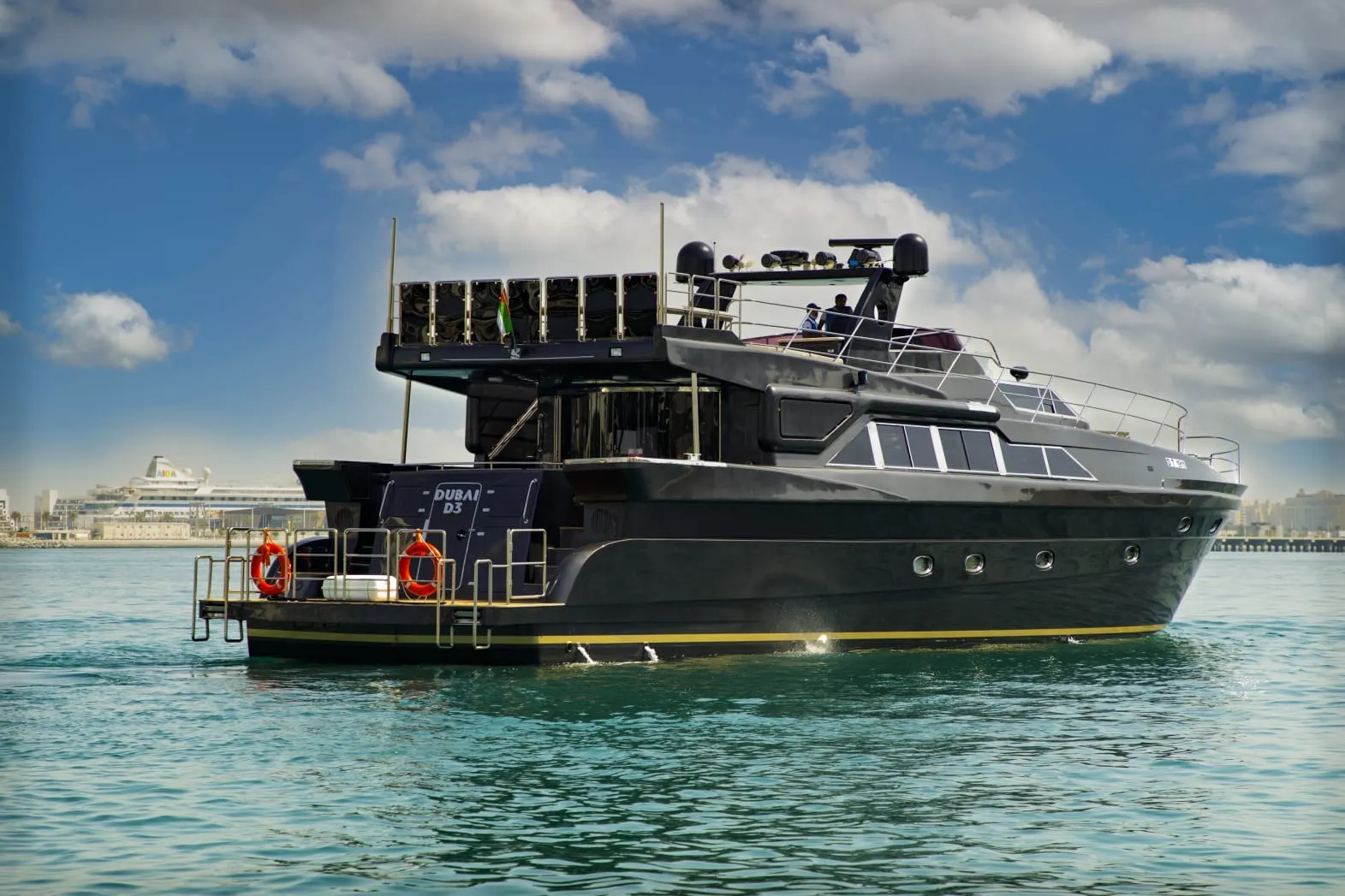 Black Beauty - 100 FT - Photo 2